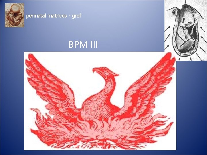 perinatal matrices - grof BPM III 