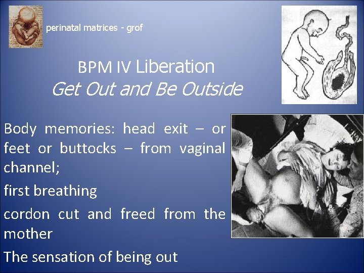 perinatal matrices - grof BPM IV Liberation Get Out and Be Outside Body memories: