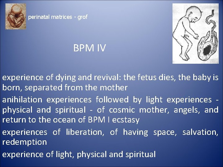 perinatal matrices - grof BPM IV experience of dying and revival: the fetus dies,