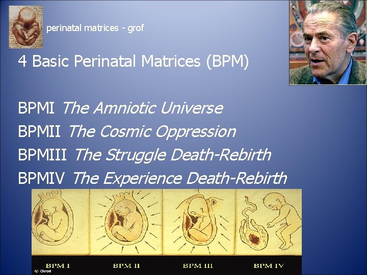perinatal matrices - grof 4 Basic Perinatal Matrices (BPM) BPMI The Amniotic Universe BPMII