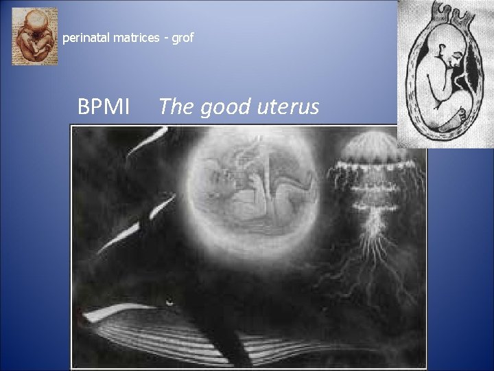 perinatal matrices - grof BPMI The good uterus perinatal matrices - grof BPMI The good uterus
