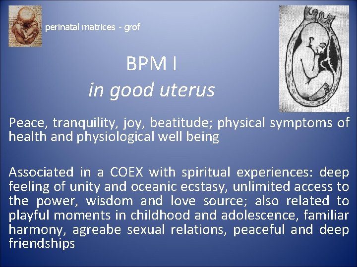 perinatal matrices - grof BPM I in good uterus Peace, tranquility, joy, beatitude; physical perinatal matrices - grof BPM I in good uterus Peace, tranquility, joy, beatitude; physical