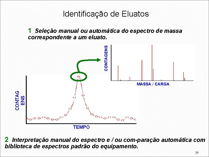 Identificação de Eluatos 1 Seleção manual ou automática do espectro de massa CONTAGENS correspondente