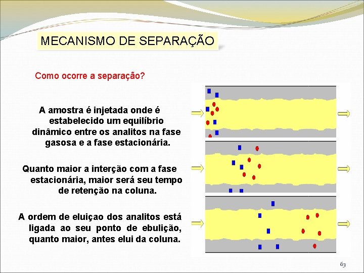 MECANISMO DE SEPARAÇÃO Como ocorre a separação? A amostra é injetada onde é estabelecido