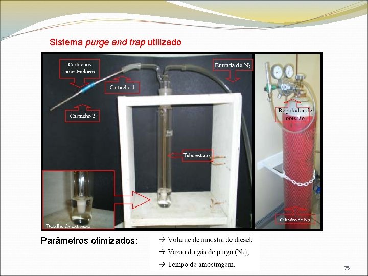 Sistema purge and trap utilizado Parâmetros otimizados: 75 