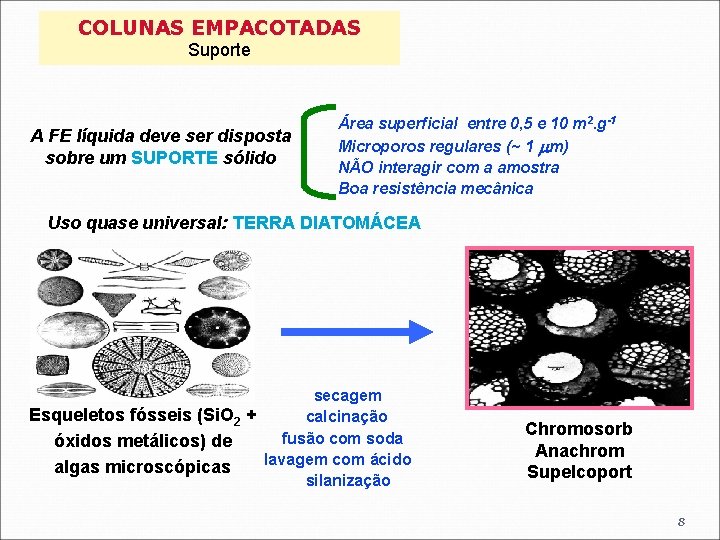 COLUNAS EMPACOTADAS Suporte A FE líquida deve ser disposta sobre um SUPORTE sólido Área