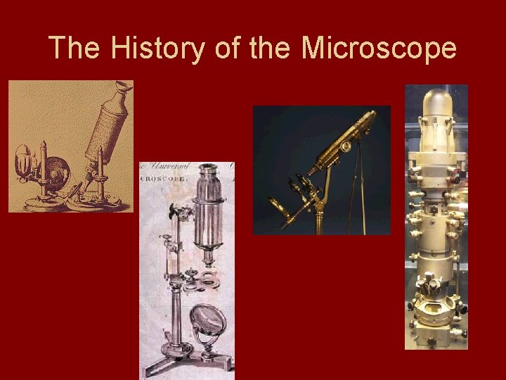 The History of the Microscope 