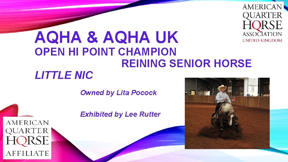 AQHA & AQHA UK OPEN HI POINT CHAMPION REINING SENIOR HORSE LITTLE NIC Owned