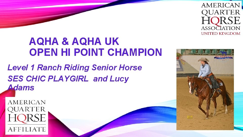 AQHA & AQHA UK OPEN HI POINT CHAMPION Level 1 Ranch Riding Senior Horse