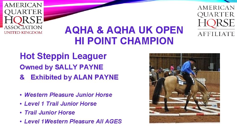 AQHA & AQHA UK OPEN HI POINT CHAMPION Hot Steppin Leaguer Owned by SALLY