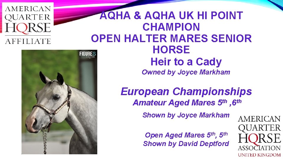 AQHA & AQHA UK HI POINT CHAMPION OPEN HALTER MARES SENIOR HORSE Heir to