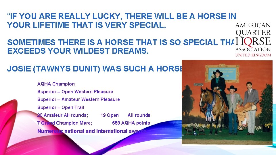 “IF YOU ARE REALLY LUCKY, THERE WILL BE A HORSE IN YOUR LIFETIME THAT