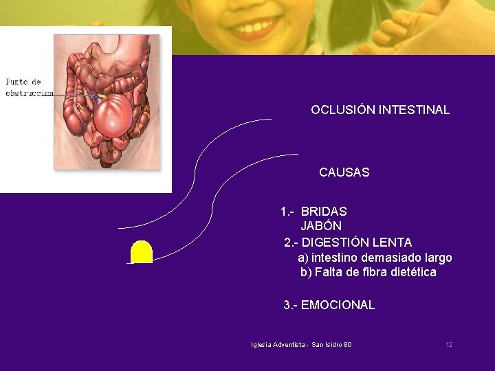 OCLUSIÓN INTESTINAL CAUSAS 1. - BRIDAS JABÓN 2. - DIGESTIÓN LENTA a) intestino demasiado