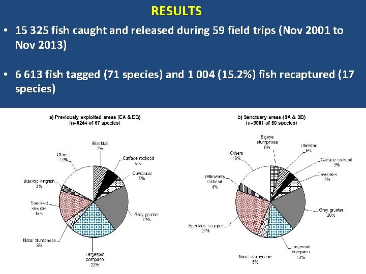 RESULTS • 15 325 fish caught and released during 59 field trips (Nov 2001