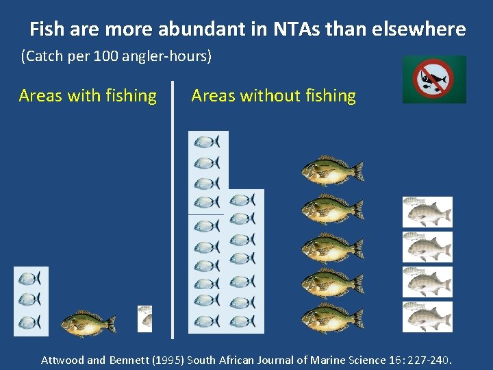 Fish are more abundant in NTAs than elsewhere (Catch per 100 angler-hours) Areas with