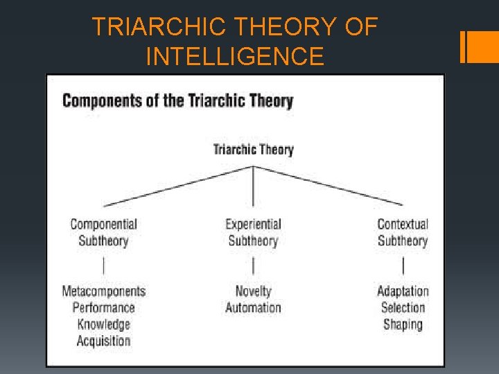 TRIARCHIC THEORY OF INTELLIGENCE 