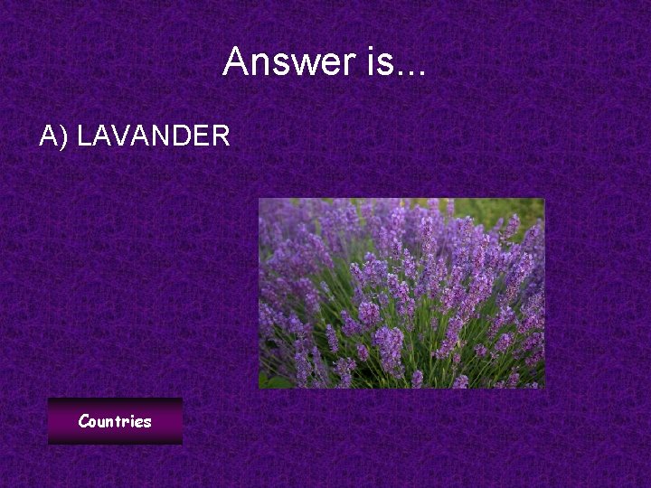 Answer is. . . A) LAVANDER Countries 