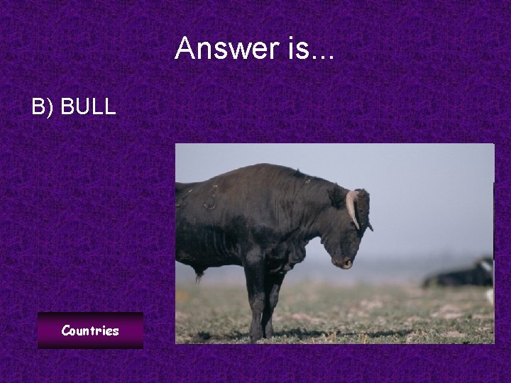 Answer is. . . B) BULL Countries 