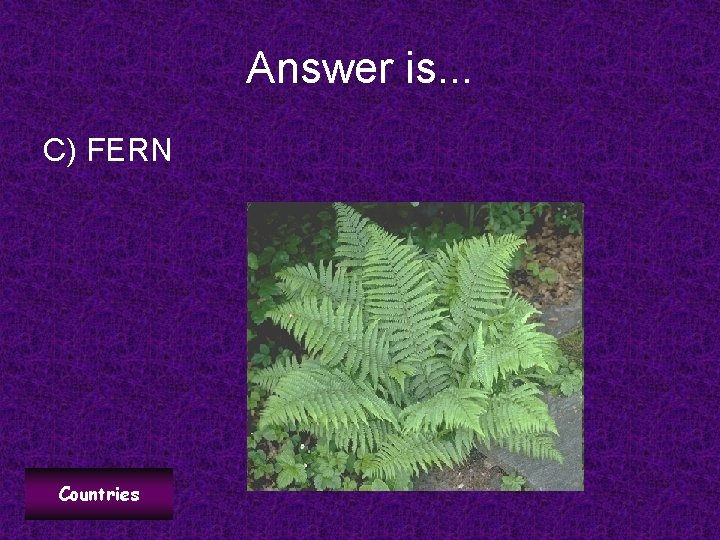 Answer is. . . C) FERN Countries 