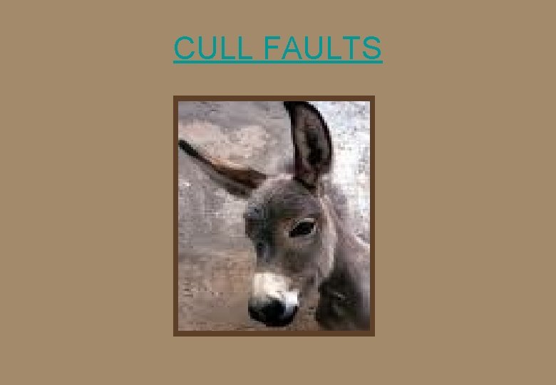 CULL FAULTS 