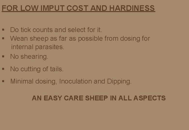 FOR LOW IMPUT COST AND HARDINESS § Do tick counts and select for it.