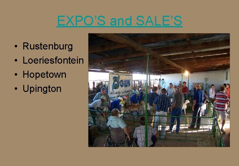 EXPO’S and SALE’S • • Rustenburg Loeriesfontein Hopetown Upington 