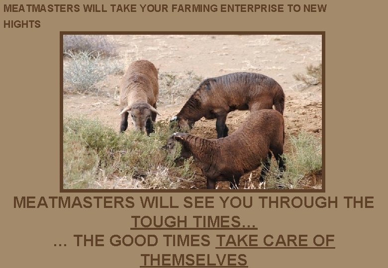 MEATMASTERS WILL TAKE YOUR FARMING ENTERPRISE TO NEW HIGHTS MEATMASTERS WILL SEE YOU THROUGH