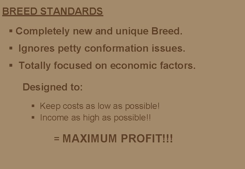 BREED STANDARDS § Completely new and unique Breed. § Ignores petty conformation issues. §