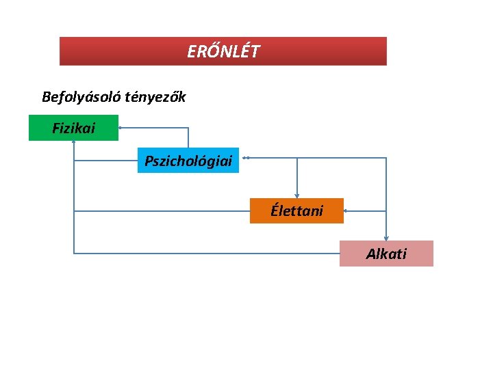 ERŐNLÉT Befolyásoló tényezők Fizikai Pszichológiai Élettani Alkati 