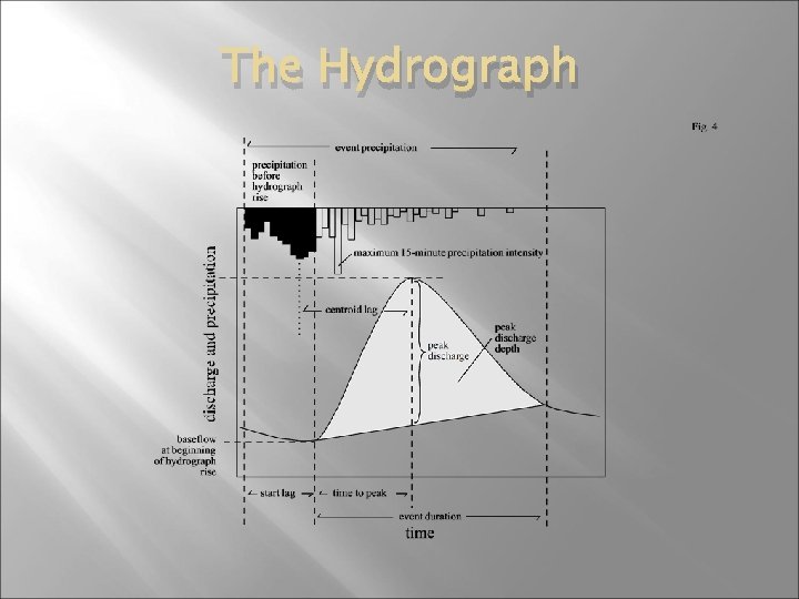 The Hydrograph 