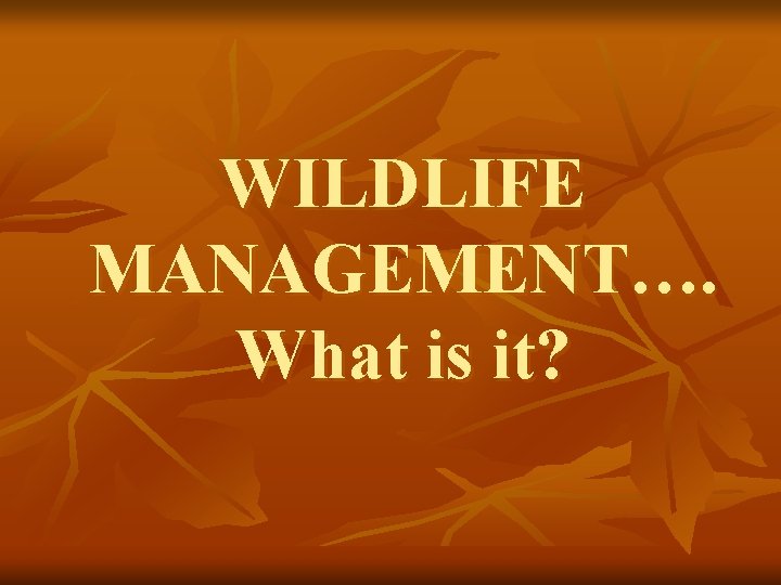 WILDLIFE MANAGEMENT…. What is it? 