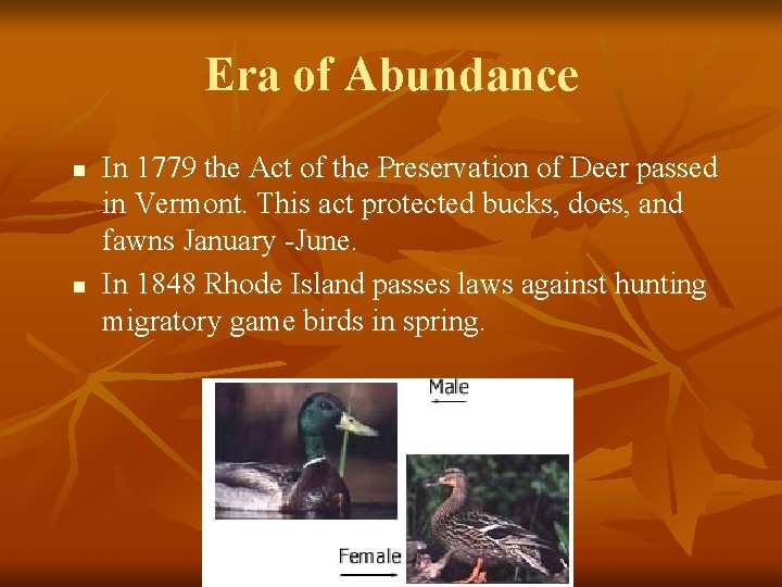 Era of Abundance n n In 1779 the Act of the Preservation of Deer