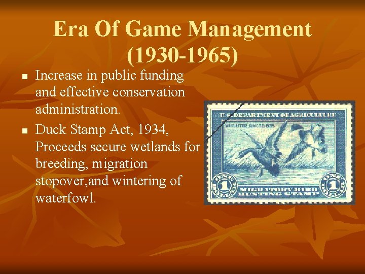 Era Of Game Management (1930 -1965) n n Increase in public funding and effective