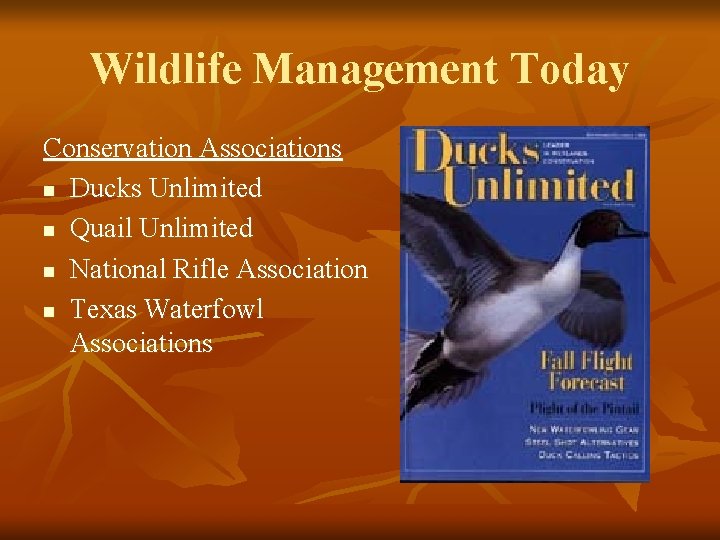 Wildlife Management Today Conservation Associations n Ducks Unlimited n Quail Unlimited n National Rifle