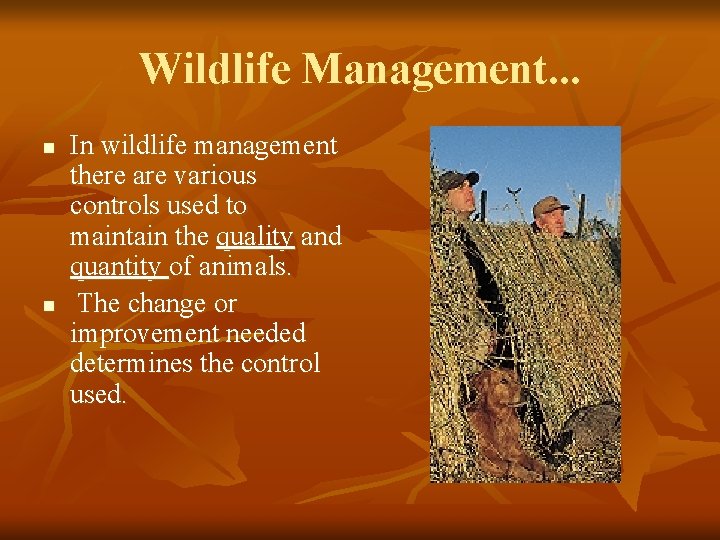 Wildlife Management. . . n n In wildlife management there are various controls used
