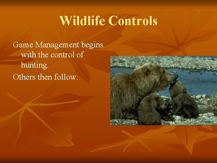 Wildlife Controls Game Management begins with the control of hunting. Others then follow. 