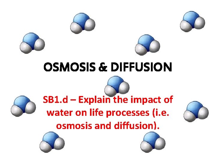 OSMOSIS & DIFFUSION SB 1. d – Explain the impact of water on life