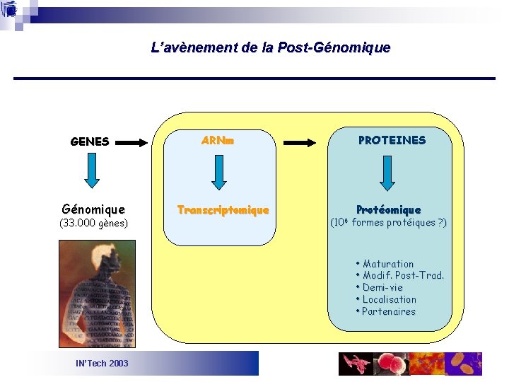L’avènement de la Post-Génomique GENES Génomique (33. 000 gènes) ARNm Transcriptomique PROTEINES (106 Protéomique