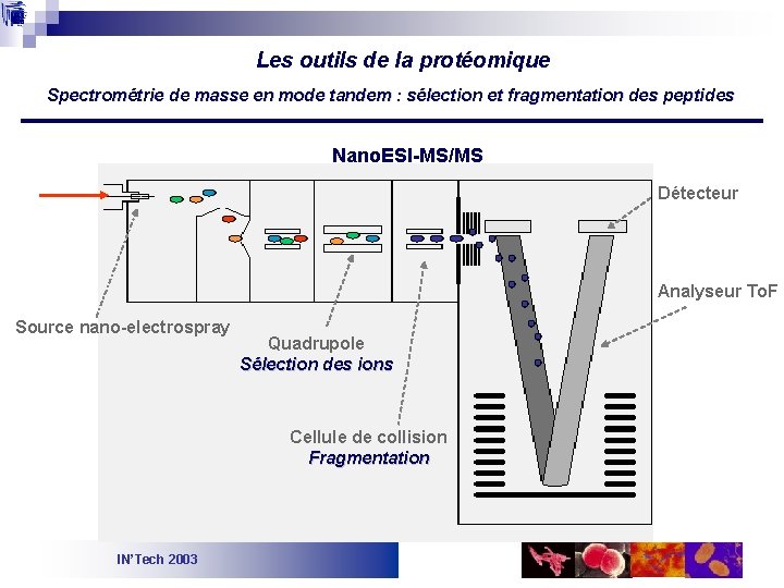 Les outils de la protéomique Spectrométrie de masse en mode tandem : sélection et