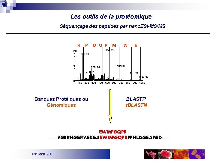 Les outils de la protéomique Séquençage des peptides par nano. ESI-MS/MS R 100 P