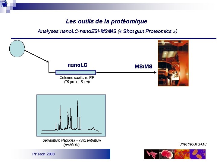 Les outils de la protéomique Analyses nano. LC-nano. ESI-MS/MS ( « Shot gun Proteomics