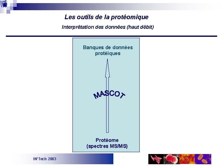 Les outils de la protéomique Interprétation des données (haut débit) Banques de données protéiques