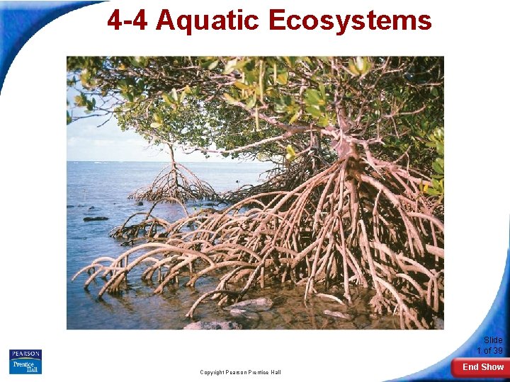 4 -4 Aquatic Ecosystems Slide 1 of 39 Copyright Pearson Prentice Hall End Show