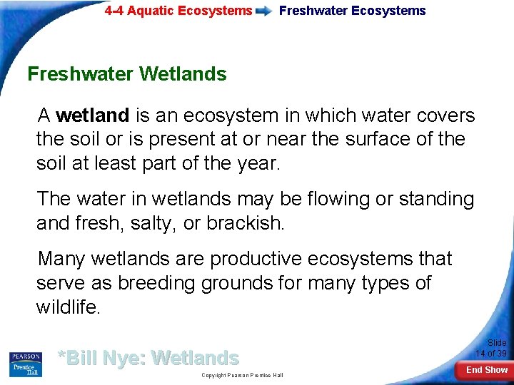 4 -4 Aquatic Ecosystems Freshwater Wetlands A wetland is an ecosystem in which water