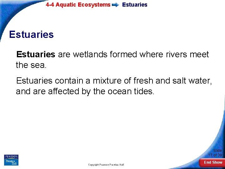 4 -4 Aquatic Ecosystems Estuaries are wetlands formed where rivers meet the sea. Estuaries