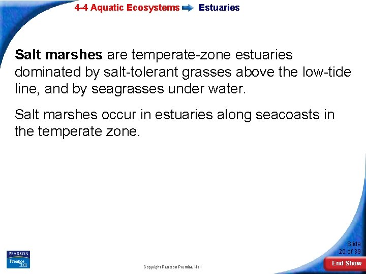 4 -4 Aquatic Ecosystems Estuaries Salt marshes are temperate-zone estuaries dominated by salt-tolerant grasses