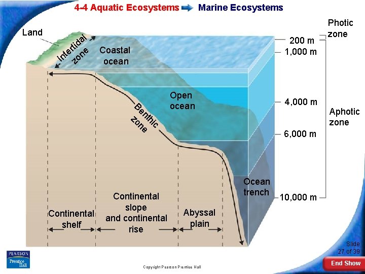 4 -4 Aquatic Ecosystems Land l a tid r te one n I z