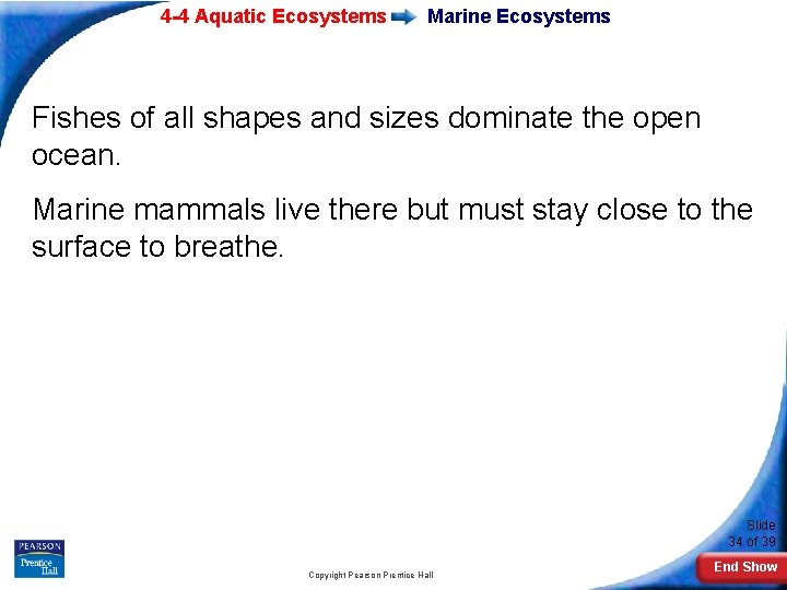 4 -4 Aquatic Ecosystems Marine Ecosystems Fishes of all shapes and sizes dominate the
