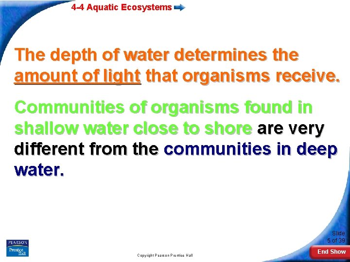 4 -4 Aquatic Ecosystems The depth of water determines the amount of light that