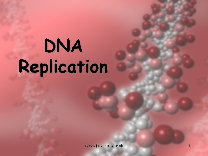 DNA Replication copyright cmassengale 1 